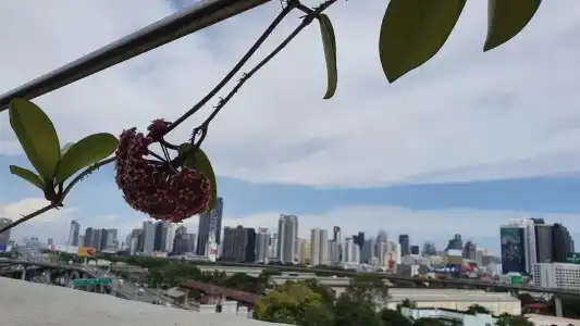 Interchange Tower Serviced Apartment - 116