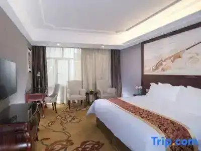 Vienna International Tong De Wei Branch - 27