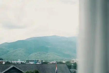 Peppery Hills - 22