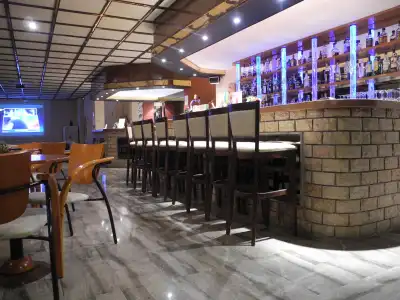 Pegasus - 21