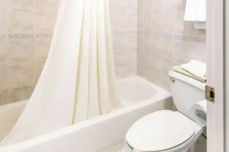Rodeway Inn Clearwater - Central - 46
