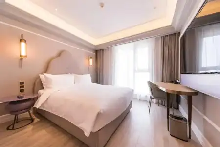 Mercure Xi'an Downtown - 117