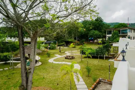Dandelion Resort - 3