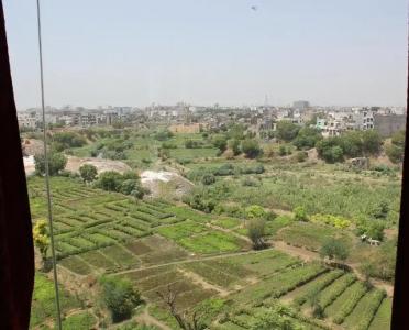 Savi Regency - 43