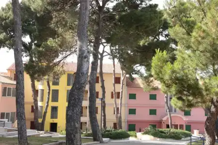 Apartments Punta - 14