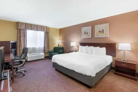 Quality Inn & Suites Bloomington University Area - 20
