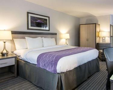 Comfort Inn Williamsburg Gateway - 13