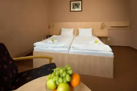 Metropol Spa - 28