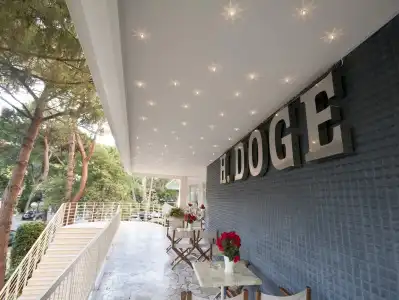 Doge - 30