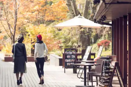Hoshino Resorts Beb5 - 22