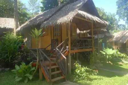 Jungle Garden - 17