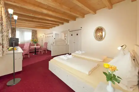 Aktiv Schweizerhof - Kitzbühel - 11