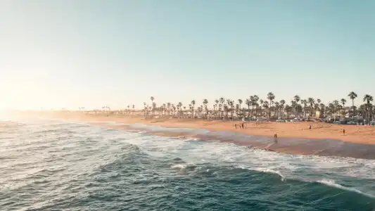 Kimpton Everly Hollywood by IHG - 25