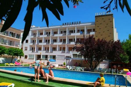 Checkin Flamingo - 16