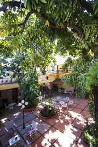 Ideal Villa - 26