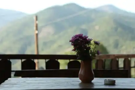 Guest House Dilijan Orran - 56