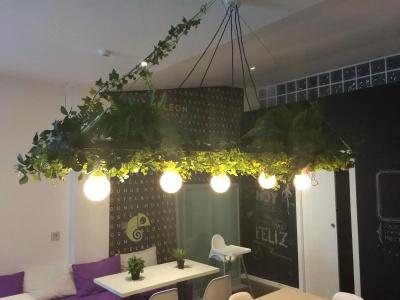 Chameleon Youth Hostel Alicante - 13
