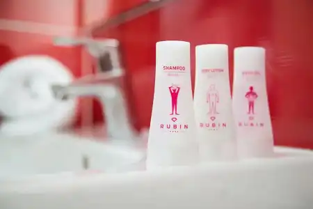Rubin Wellness & Conference - 52