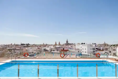 Don Paco Sevilla - 13