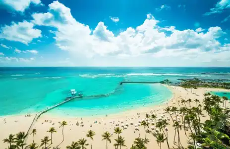 Hilton Grand Vacations Club at Hilton Hawaiian Village - 18