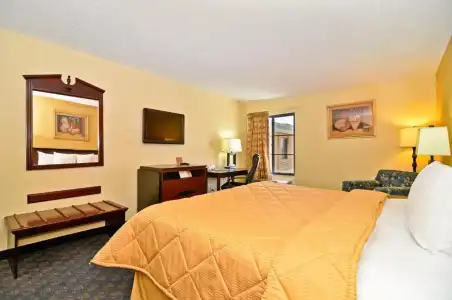 Quality Inn & Suites Irving DFW Airport South - 31