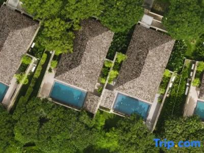MUTHI MAYA Forest Pool Villa Resort - 99