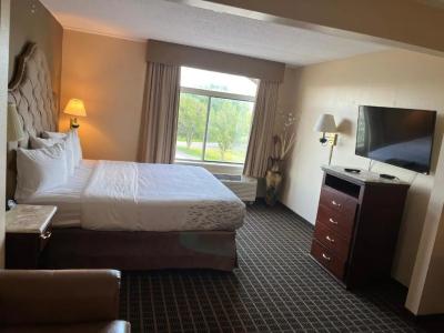 Comfort Inn & Suites Madison East Interstate I-90 - 43