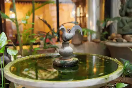 Le Jardin du Fort - Boutique - 18