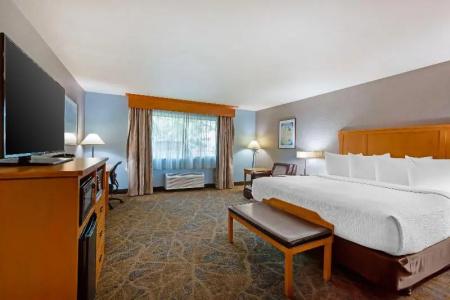Best Western Plus GranTree Inn - 69