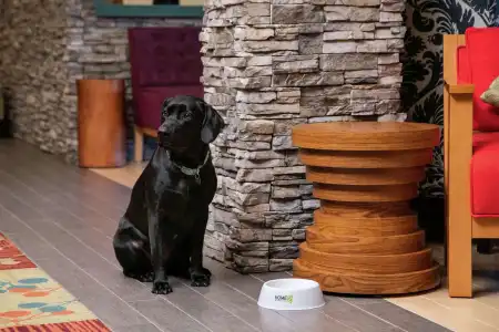 Home2 Suites by Hilton Anchorage/Midtown - 18