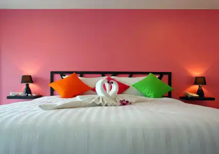 Sleep Whale (SHA Extra Plus) - 2