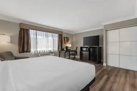 Best Western Plus LA Mid Town - 60