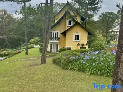 Binh An Village Dalat Resort - 137