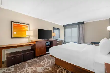 Comfort Inn Anaheim Resort - 45