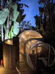 Bubble Lodge Bois Chéri Plantation - 27