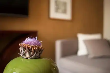 Liassidi Wellness Suites - 72