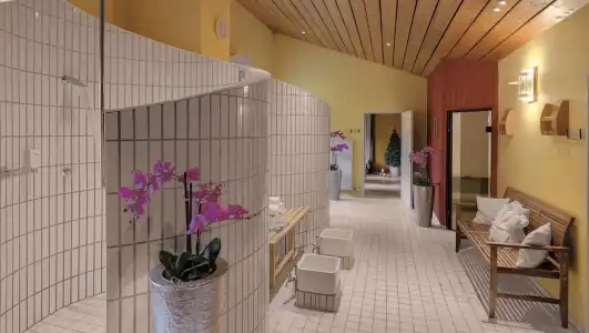Best Western ApartBirnbachhöhe - 12