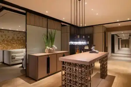 Hyatt Regency Shenzhen Airport - 20