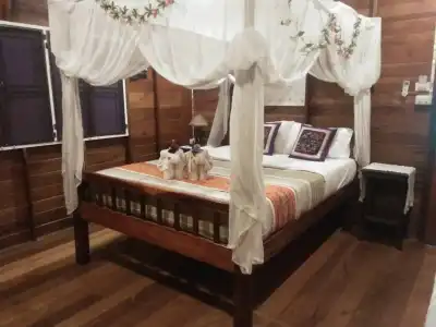 Orchid Hibiscus Guest House - 1