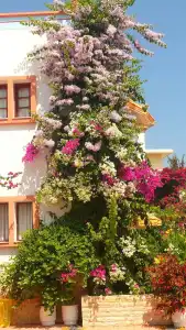 Villa Elizea - 17