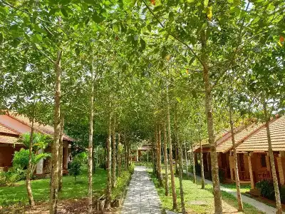 The Garden House Phu Quoc Resort - 304