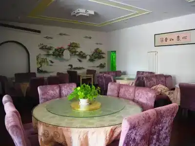 Jinlong - 8