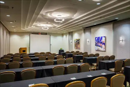 Holiday Inn AUSTIN-TOWN LAKE by IHG - 40