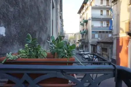 Palazzo Speciale B&B - 16