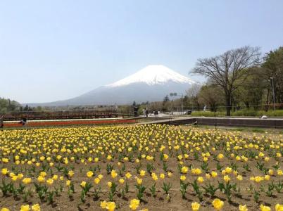 Pension Mori - 4