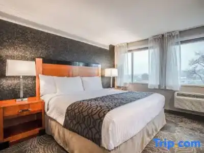 Monte Carlo Inn Barrie Suites - 27