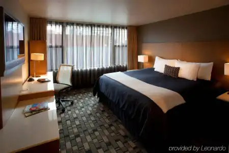 Staypineapple, Rose, Downtown Portland - 4
