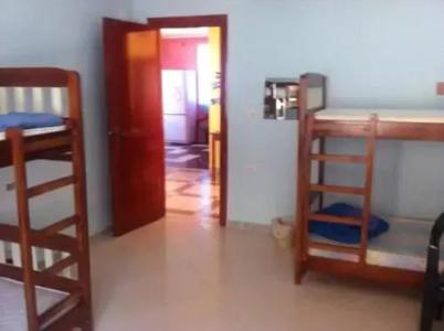 Dolphin Hostel - 4