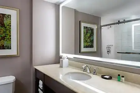 Sheraton Dallas - 82