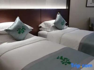 Beijing Henan Plaza - 17